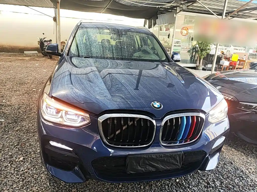 BMW X3 2018 2018 xDrive25i M Sport Package China V
