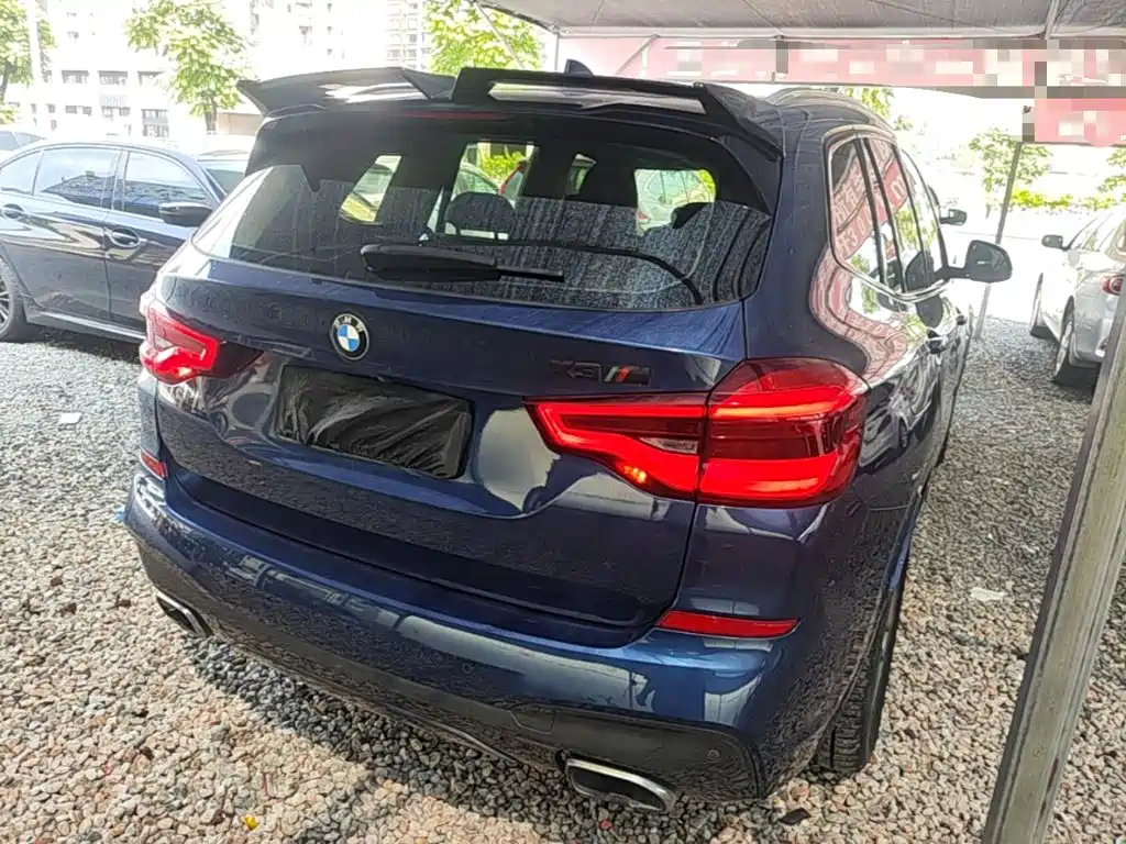 BMW X3 2018 2018 xDrive25i M Sport Package China V