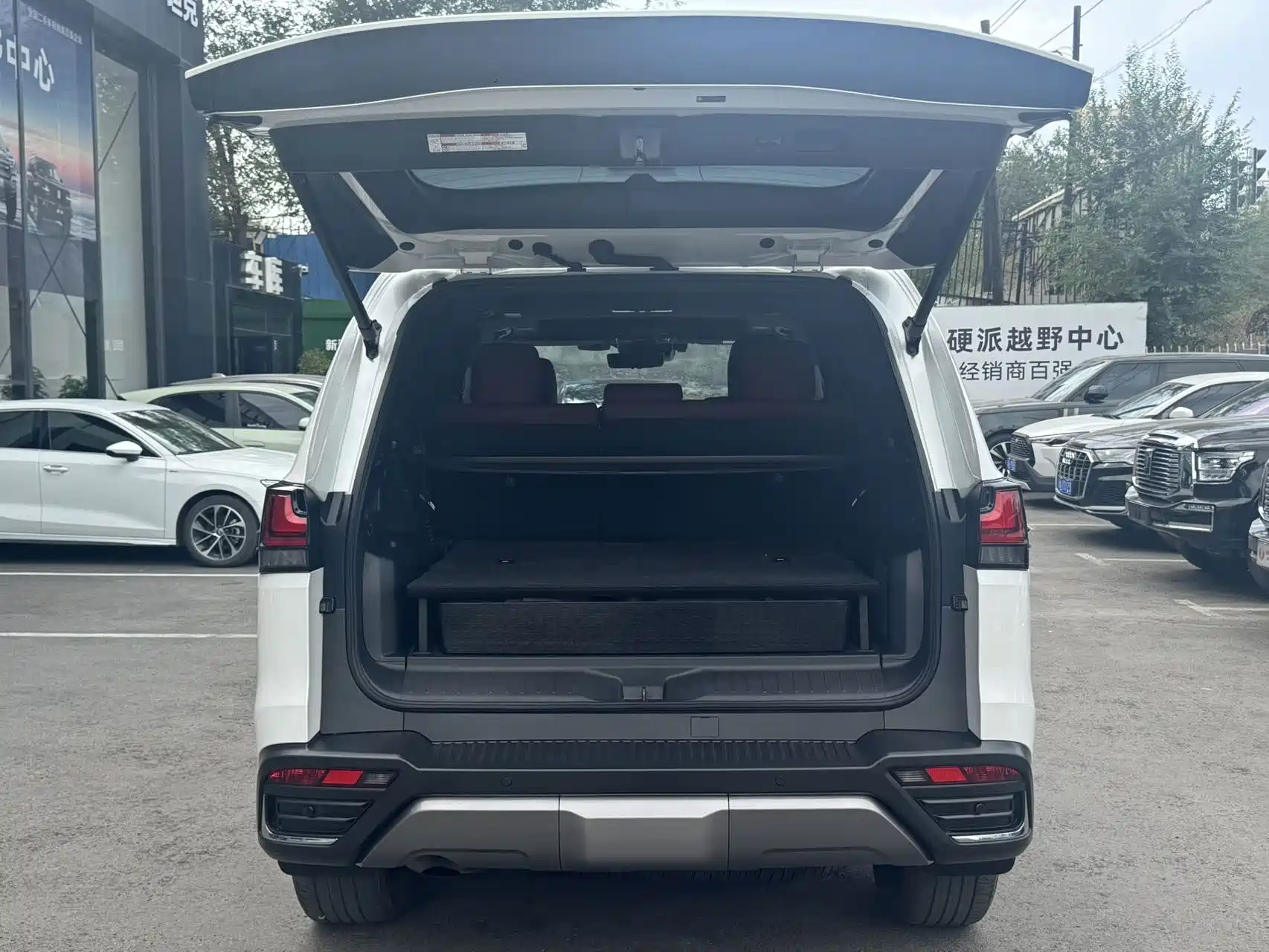 Фото 16 - Lexus LX