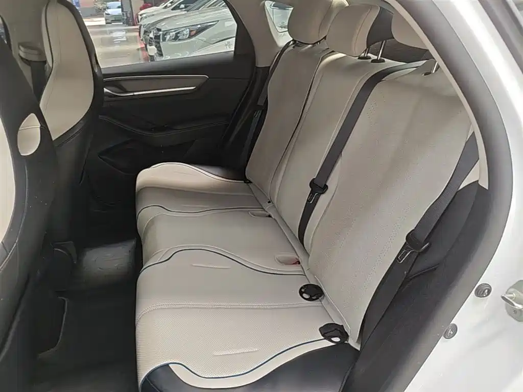 BYD Destroyer 05 2024 Glory Edition DM-i 55KM Luxury фото 17