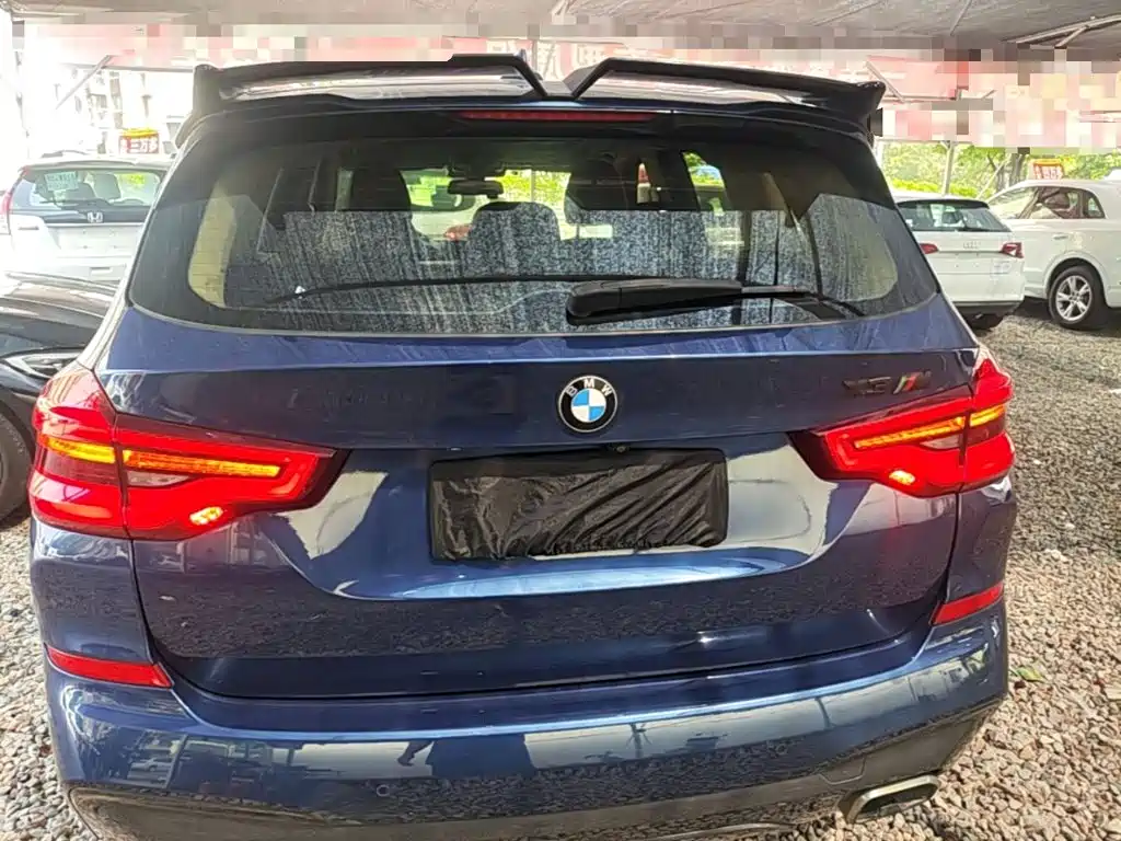 BMW X3 2018 2018 xDrive25i M Sport Package China V