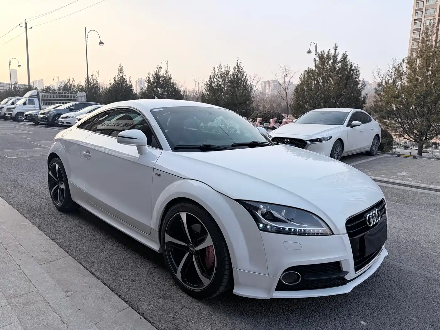 Audi TT 2014 TT Coupe 45 TFSI Sport Edition фото 3