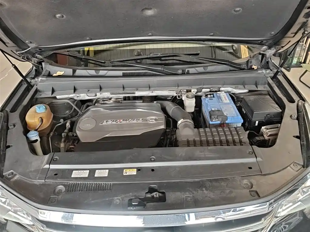 GAC Trumpchi Trumpchi GS8 2017 320T 2WD Luxury Smart Connect (7-seater) фото 20