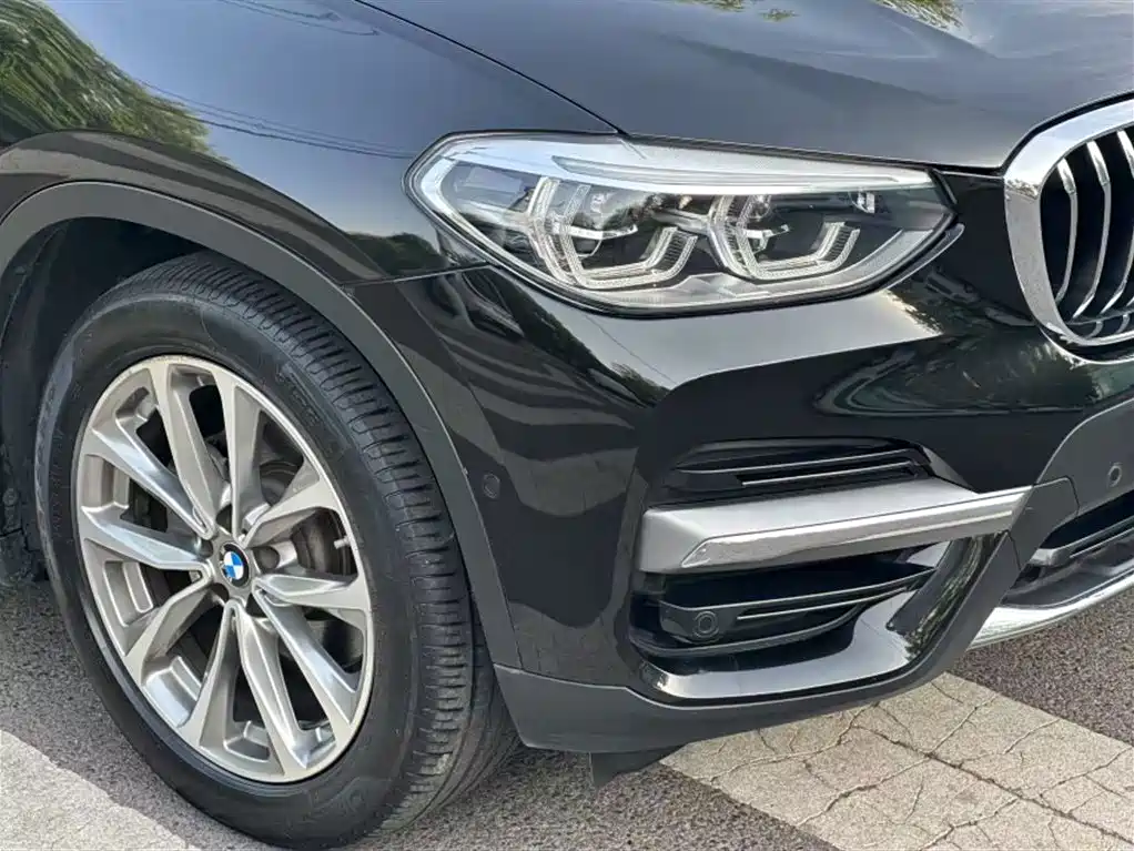 BMW X3 2019 xDrive25i Luxury Package фото 13