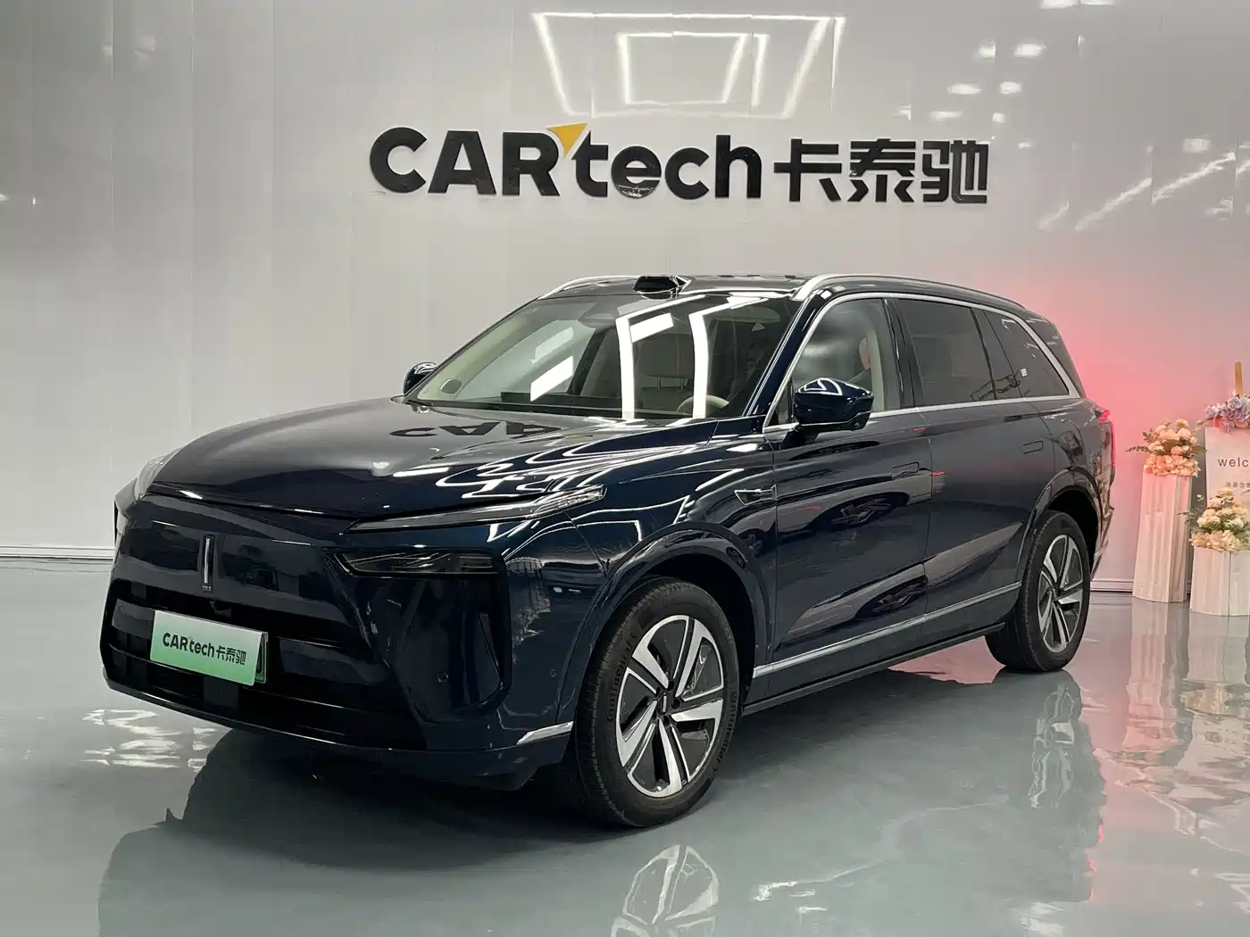 WEI PAI WEI BRAND BLUE MOUNTAIN