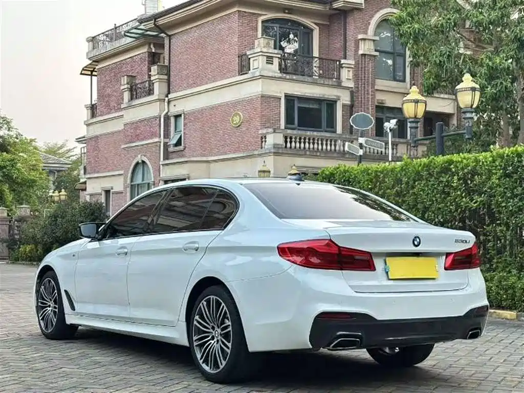 BMW 5 Series 2019 530Li Leading M Sport Package фото 4
