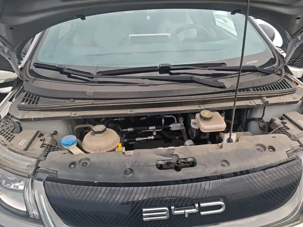 BYD Dolphin 2022 2021 405km Freedom Edition