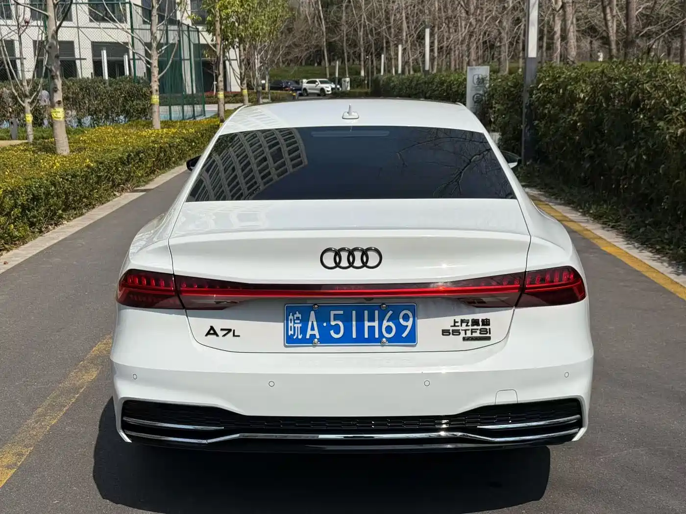 Audi A7L 2023 45 TFSI quattro S-line Shadow Warrior Edition фото 4