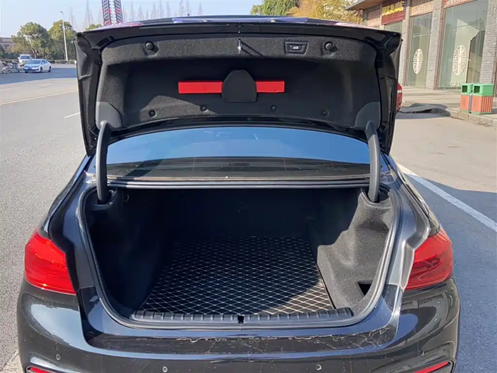 BMW 5 Series 2020 525Li M Sport Package фото 10