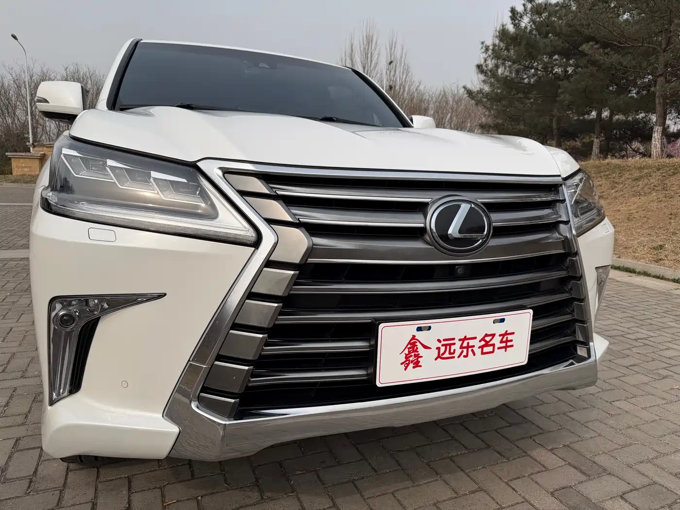 Lexus LX 2016 570 Luxury Premium Edition фото 7