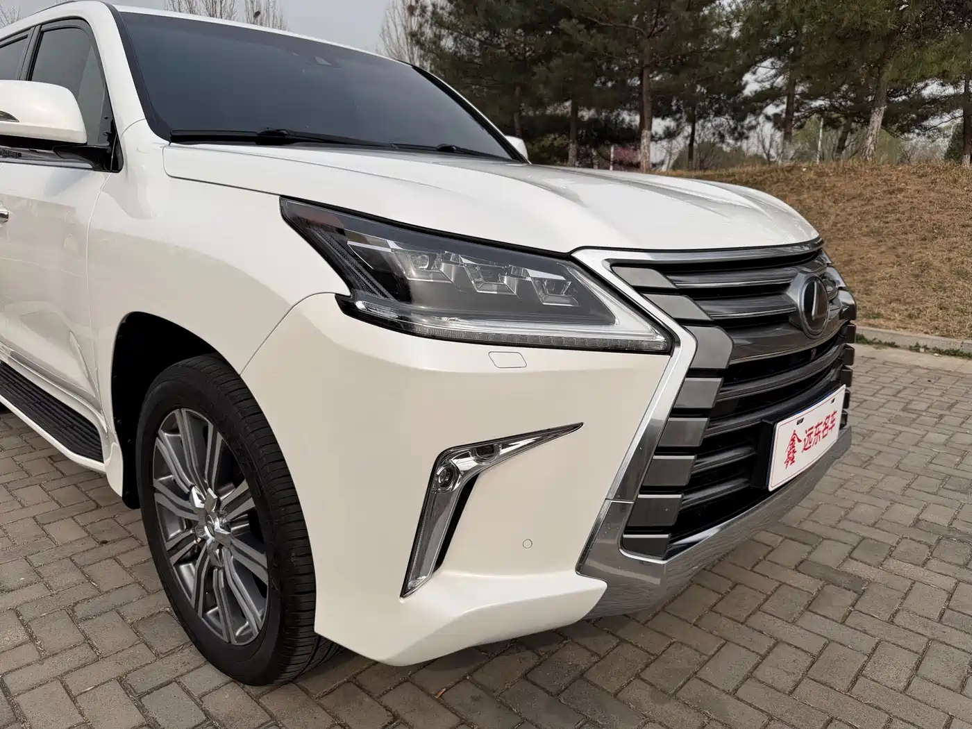 Lexus LX 2016 570 Luxury Premium Edition фото 5