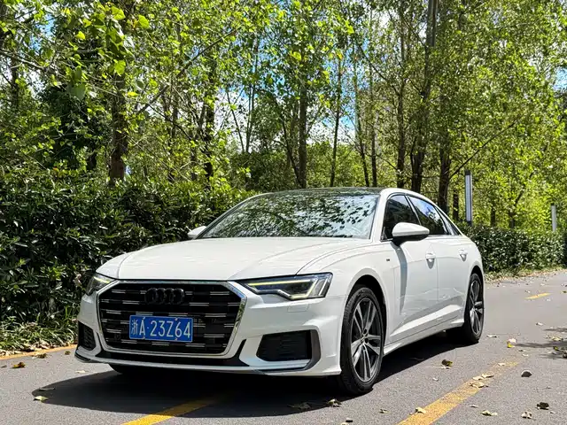  Audi Audi A6L 2019 45 TFSI Premium Dynamic