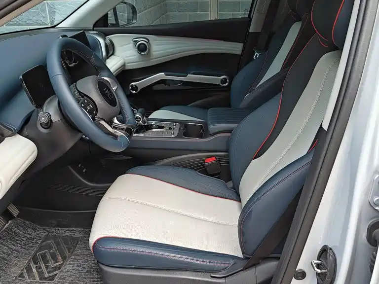 BYD Yuan PLUS 2022 2022 510KM Flagship