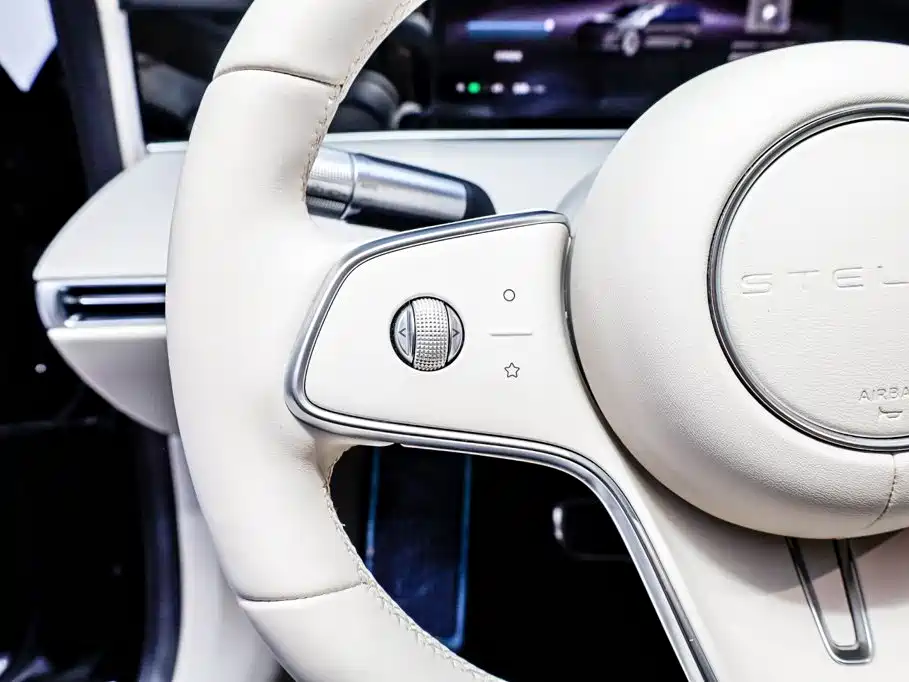 Xiangjie Enjoy World S9 2024 2024 Pure Electric Max RWD Long Range Edition