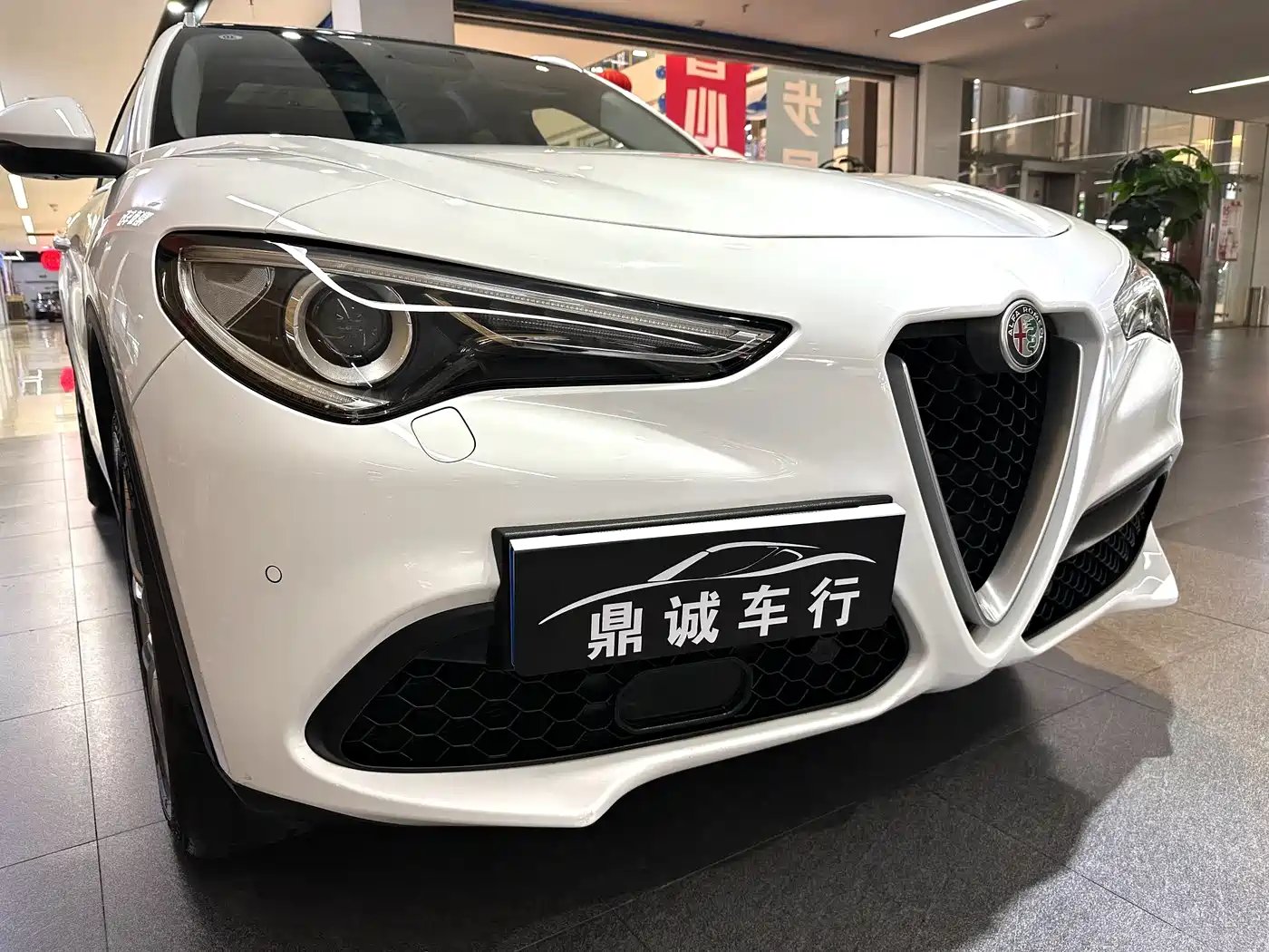 Alfa Romeo Stelvio 2018 2017 2.0T 200HP Luxury Edition