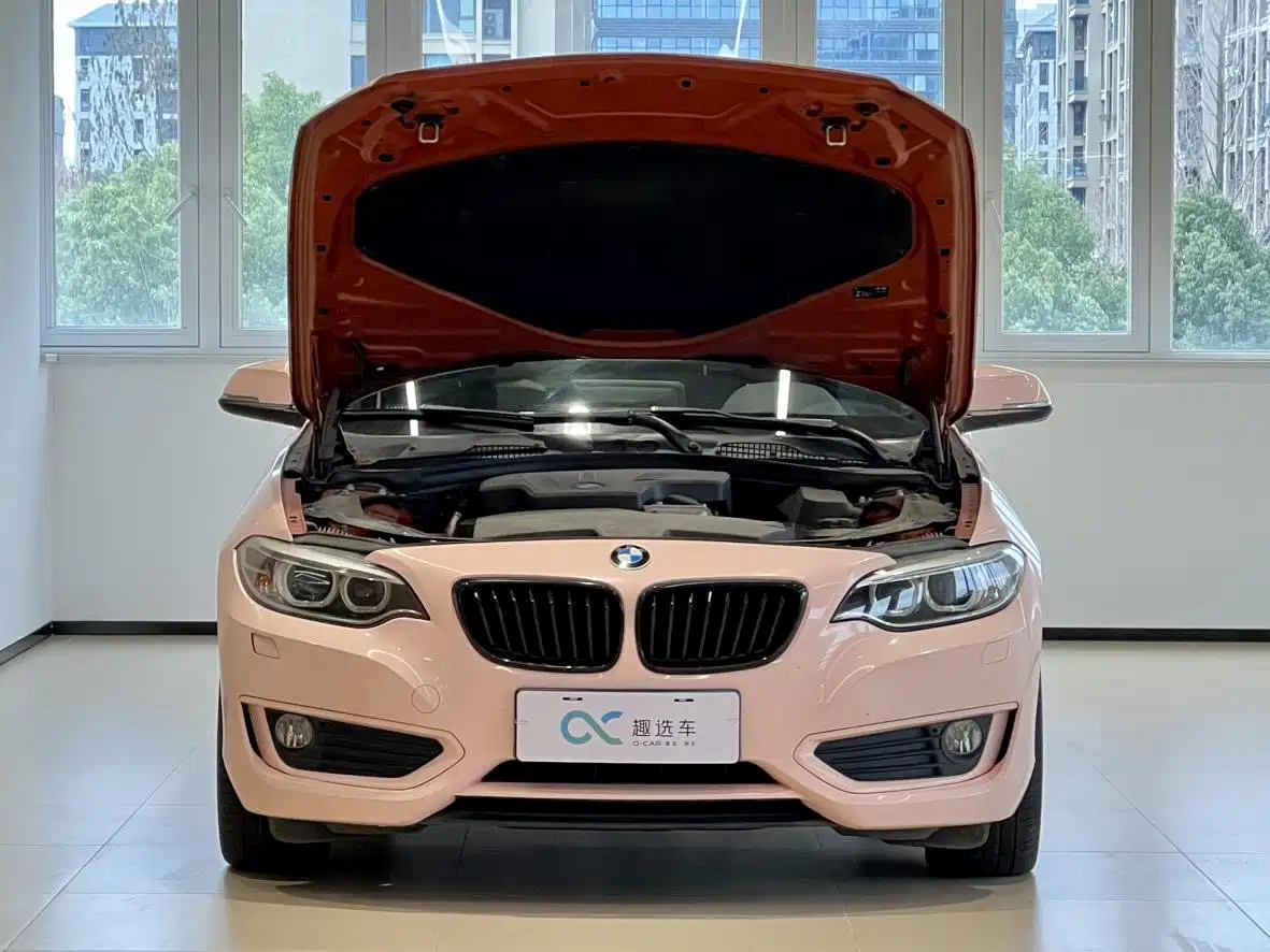 BMW 2 Series (Import) 2015 220i Convertible Coupe Leading фото 15