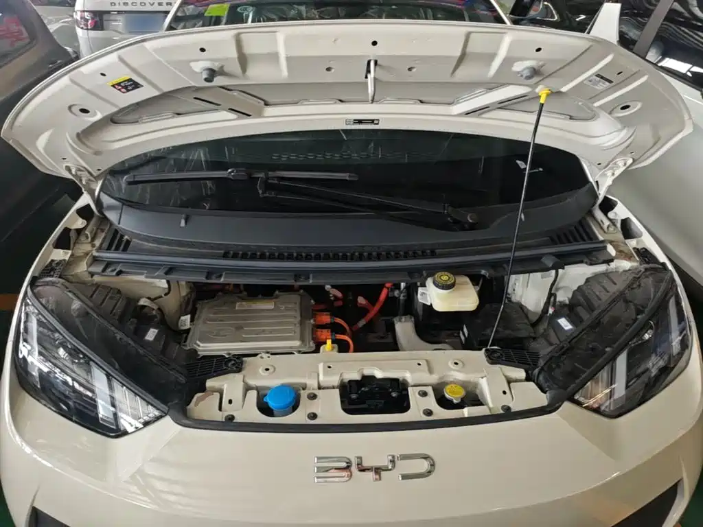BYD Seagull 2026 2025 Smart Drive Edition 305km Vitality Version
