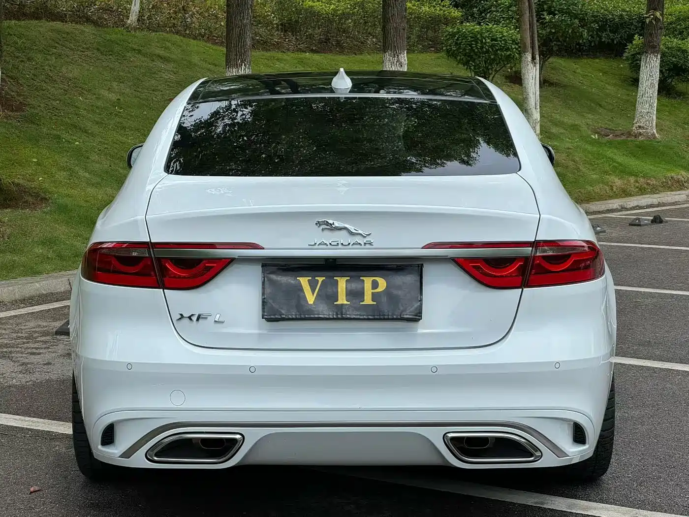 Jaguar XFL 2024 2.0T P250 2WD Premium Luxury фото 8