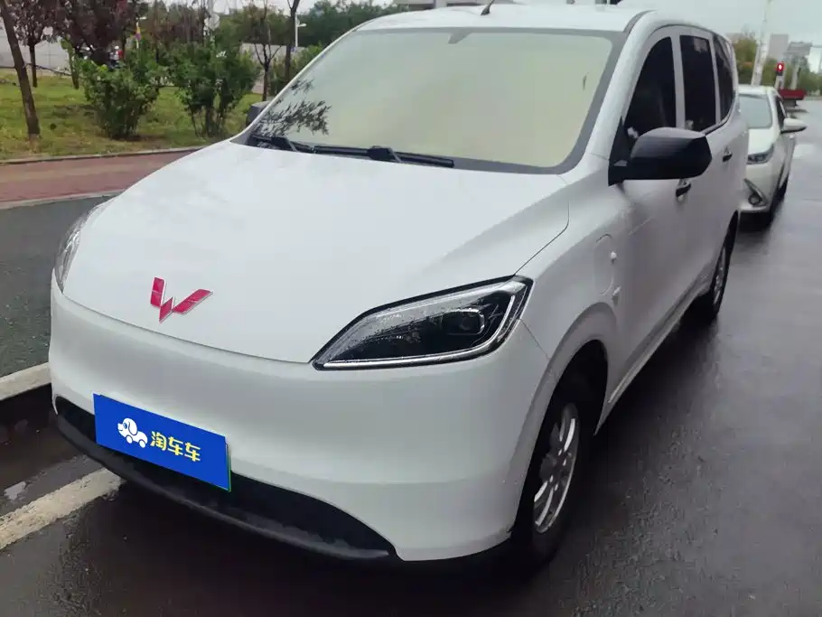 Wuling Motors Wuling Hongguang New Energy 2025 2024 Pure Electric 300KM Standard