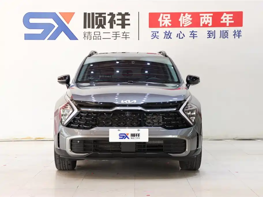 KIA LION PLATINUM EXPANDS THE WORLD