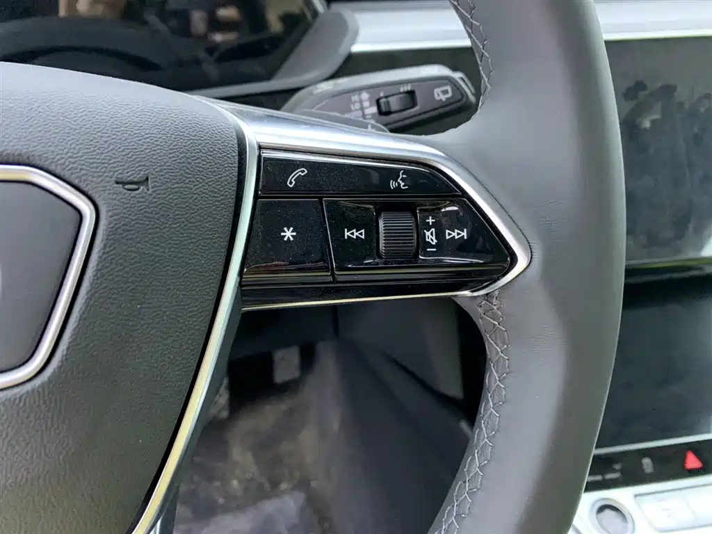 Audi e-tron 2021 50 quattro Luxury фото 20