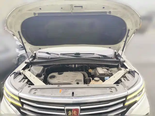 Roewe RX5 MAX 2019 300TGI Automatic 4G Connected Luxury Edition — фото 3
