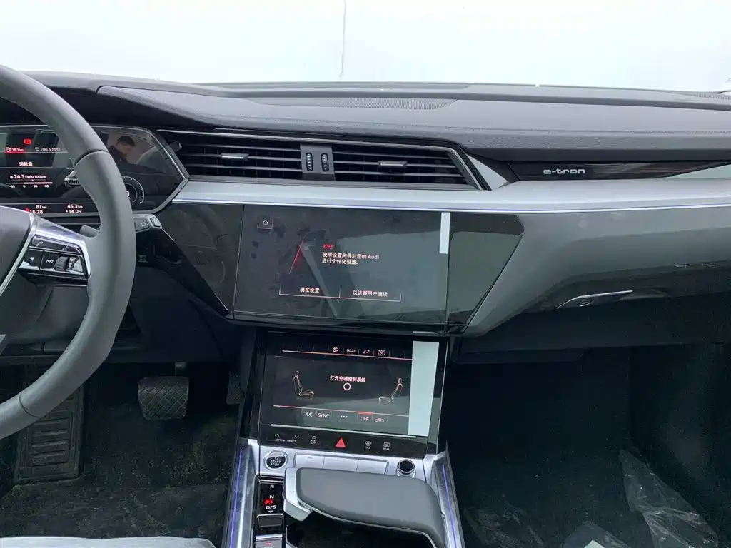 Audi e-tron 2021 50 quattro Luxury фото 22