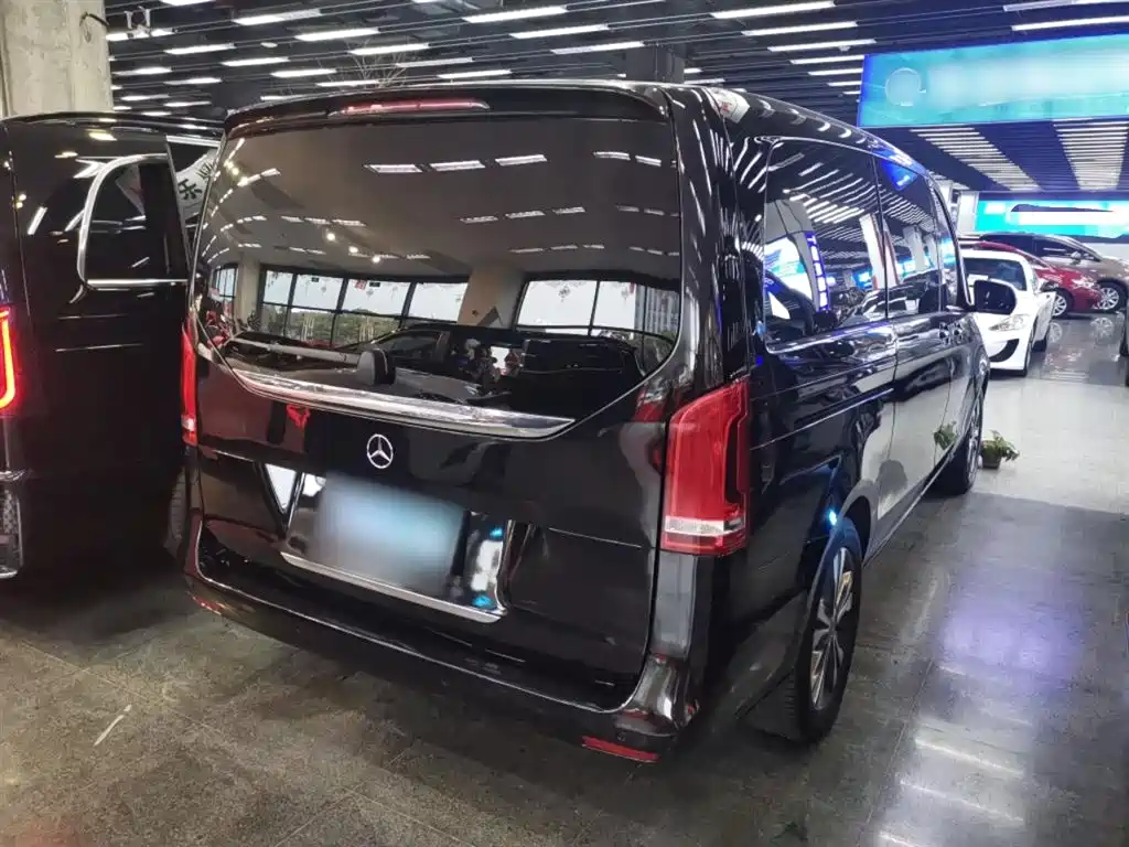 Mercedes-Benz V-Class 2018 V 260 Pilot Edition China V фото 7