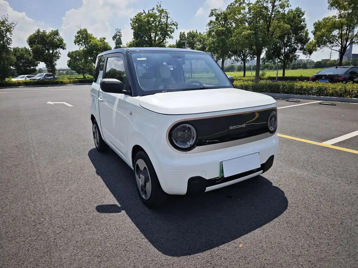 Geely Galaxy Panda 2023 2023 Panda Mini 200km Lively Bear