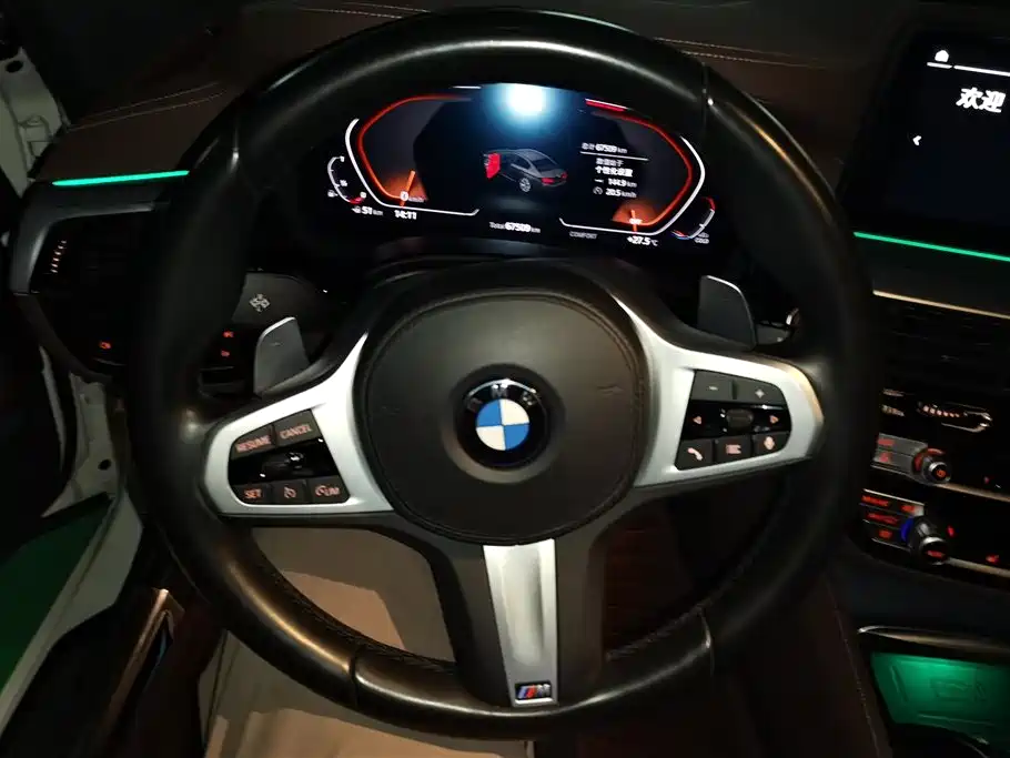 BMW 5 Series 2021 530Li Leading M Sport Package фото 15