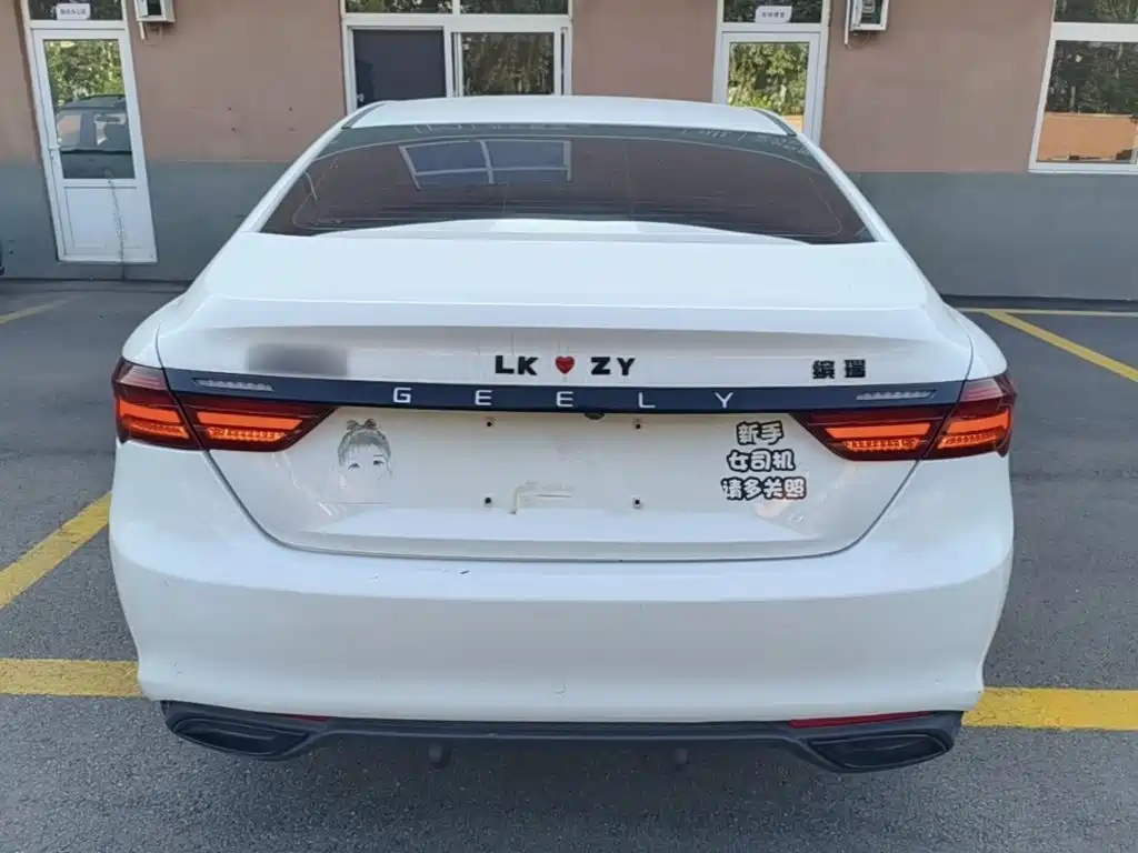 Фото 6 - Geely Binrui
