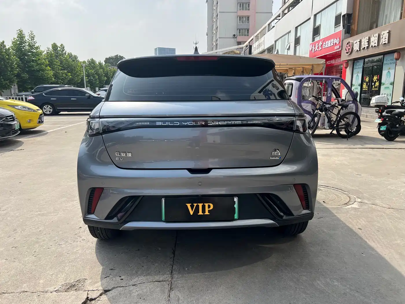 BYD Dolphin 2021 Model 405km Fashion Edition фото 7