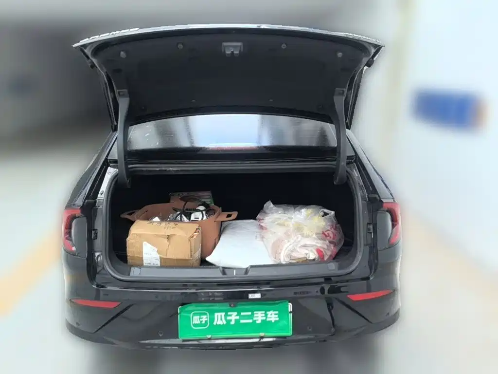 Wuling Motors Wuling Xingguang 2024 2024 Co-Creation Edition 150 Pilot