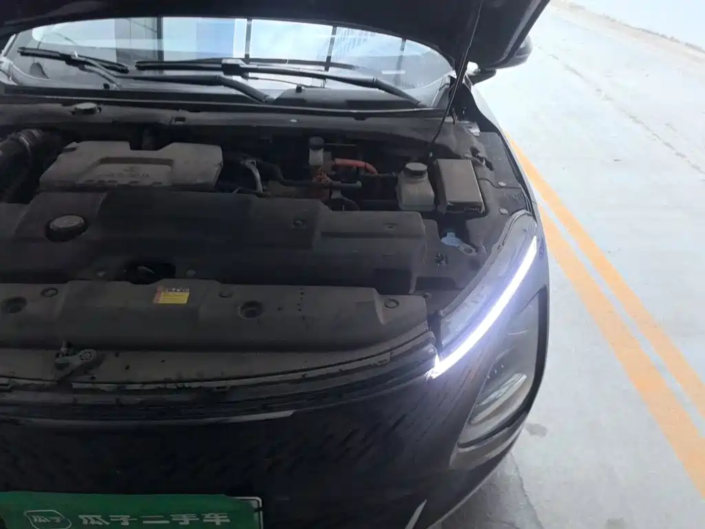 Wuling Motors Wuling Xingguang 2024 2024 Co-Creation Edition 150 Pilot