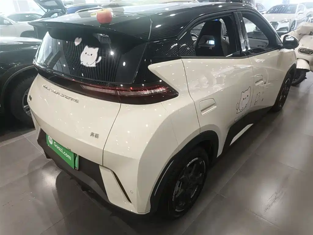 BYD Seagull 2024 Glory Edition 305km Freedom Edition фото 7