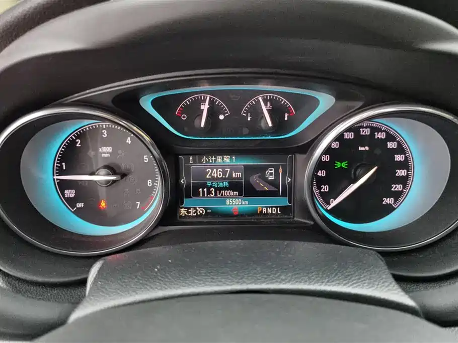 Buick Envision Plus 2017 28T AWD Elite фото 14