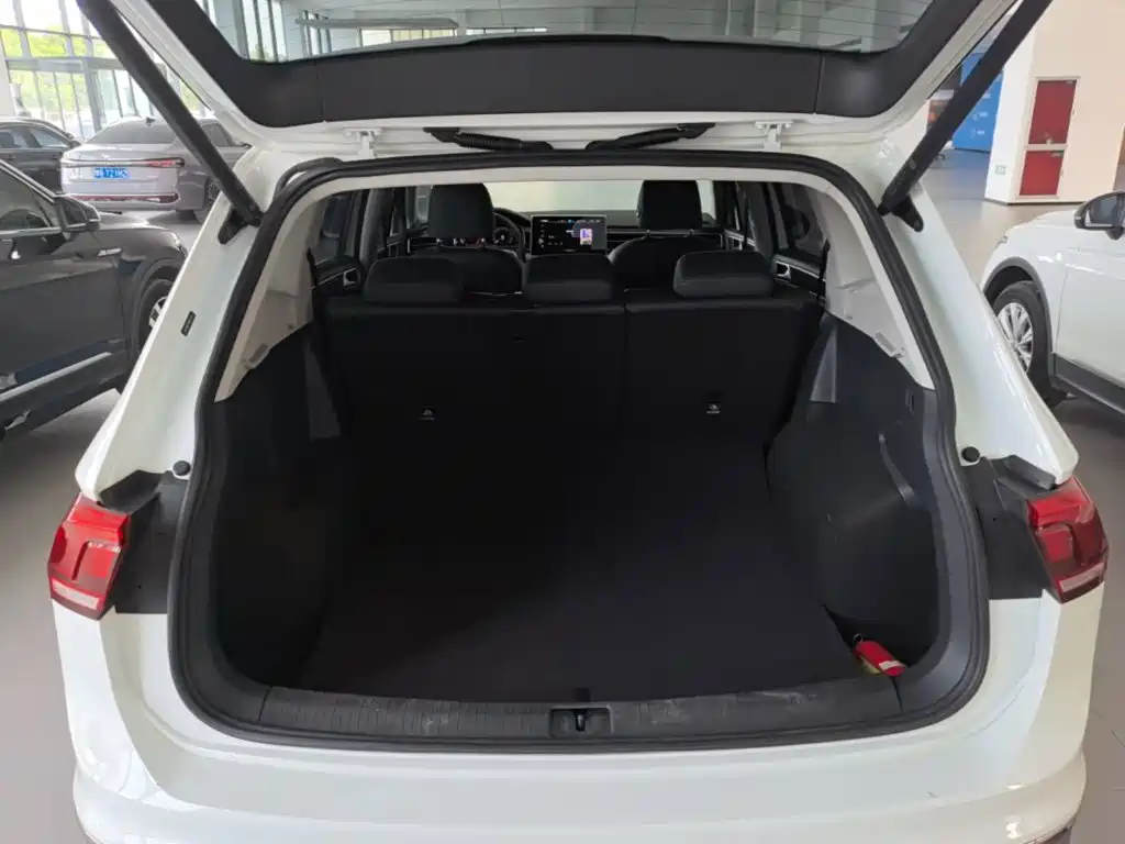 Volkswagen Tiguan, миниатюра 19