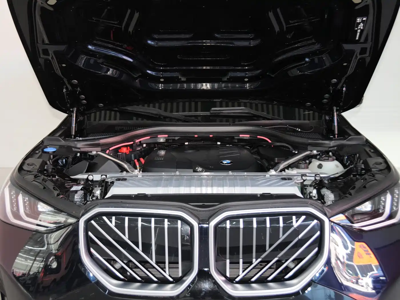 BMW X3 2025 xDrive30L Premium M Sport Package фото 6