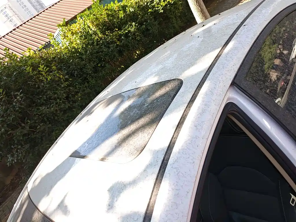 Фото 27 - Geely Emgrand