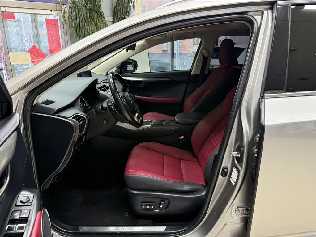 Lexus NX 2020 200 AWD F Sport China VI фото 16