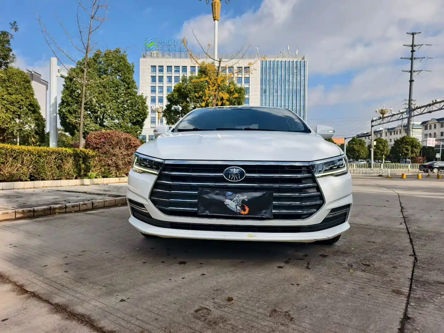 Фото 2 - BYD Qin