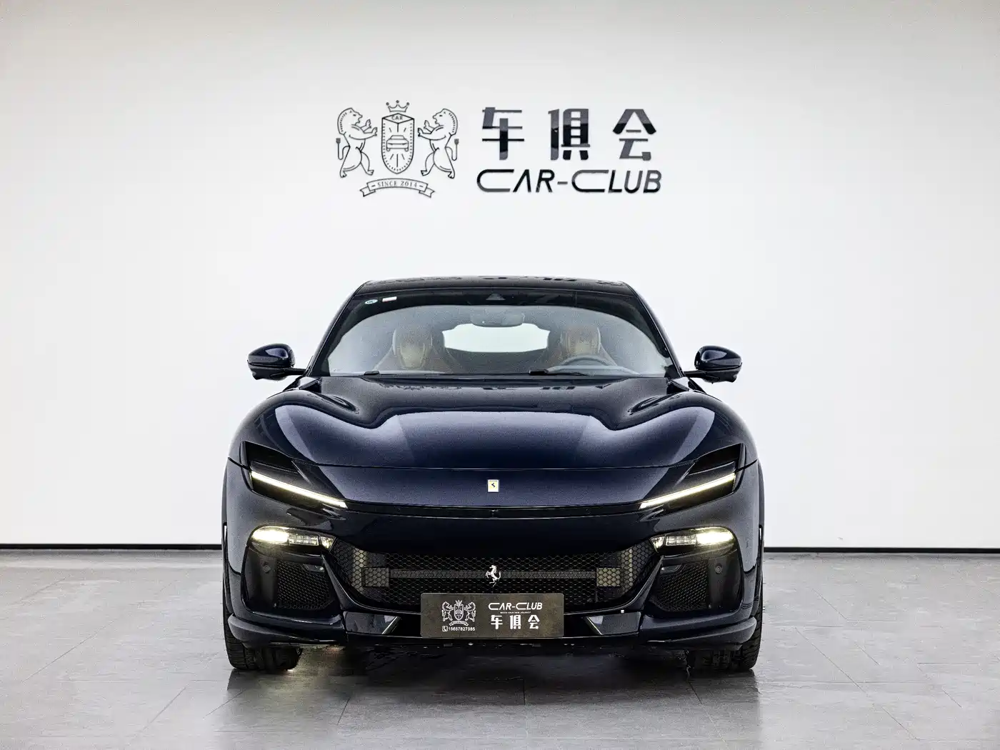 FERRARI PUROSANGUE