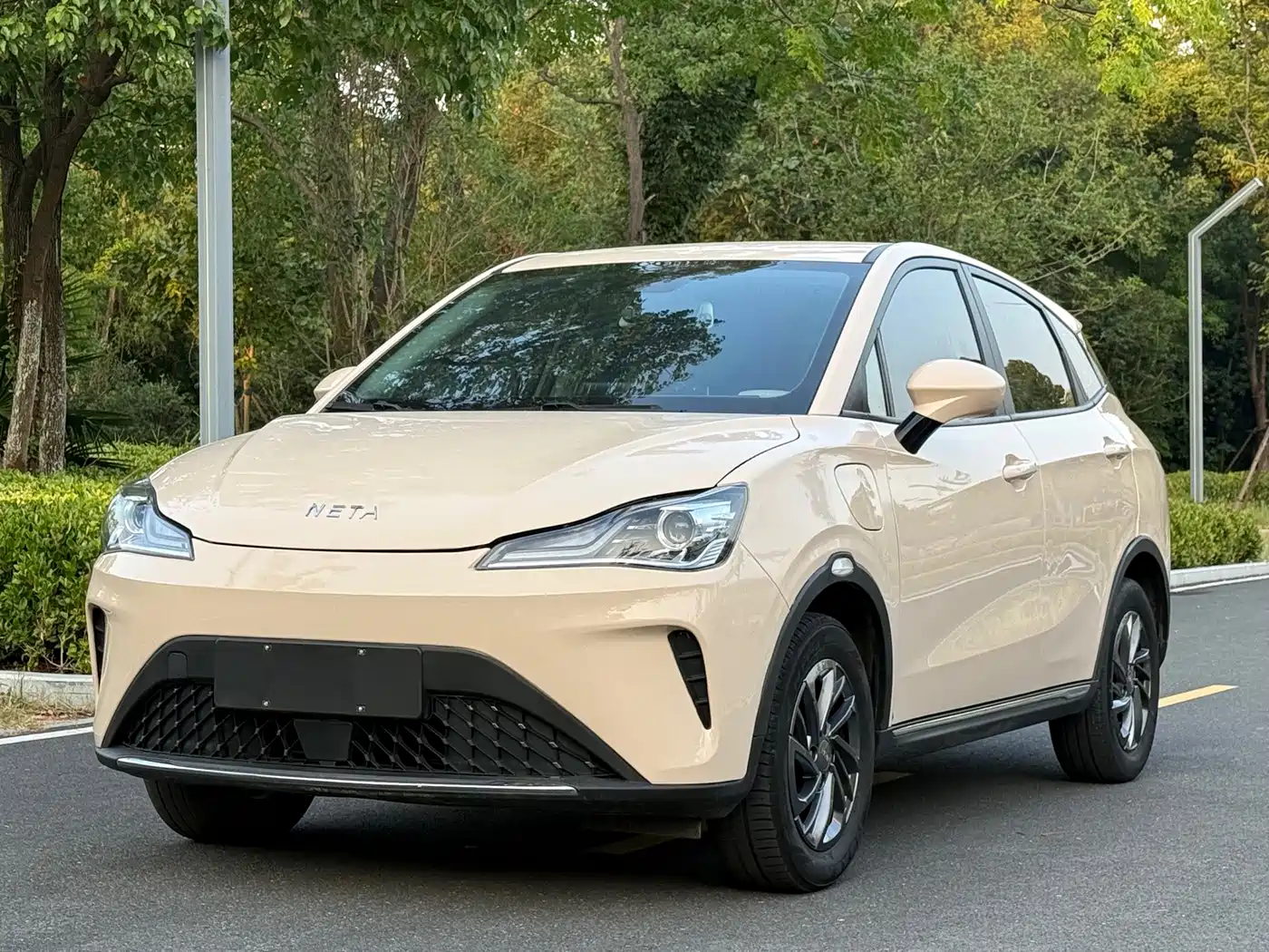Nezha Auto Nezha AYA 2024 2023 Model 318 Lite