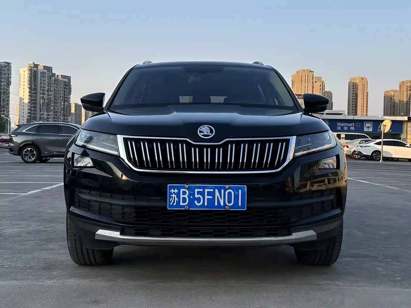 Škoda Kodiaq 2018 TSI330 7-seat FWD Luxury Premium фото 2