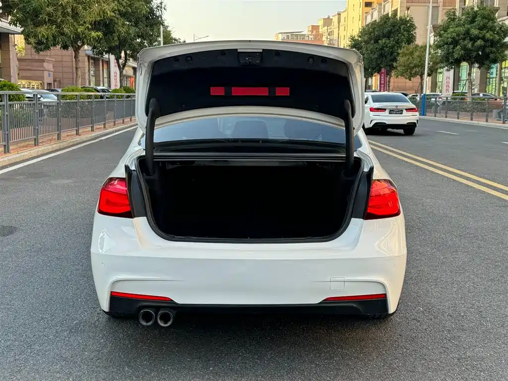BMW 3 Series 2019 320Li M Sport Black Night Edition фото 10