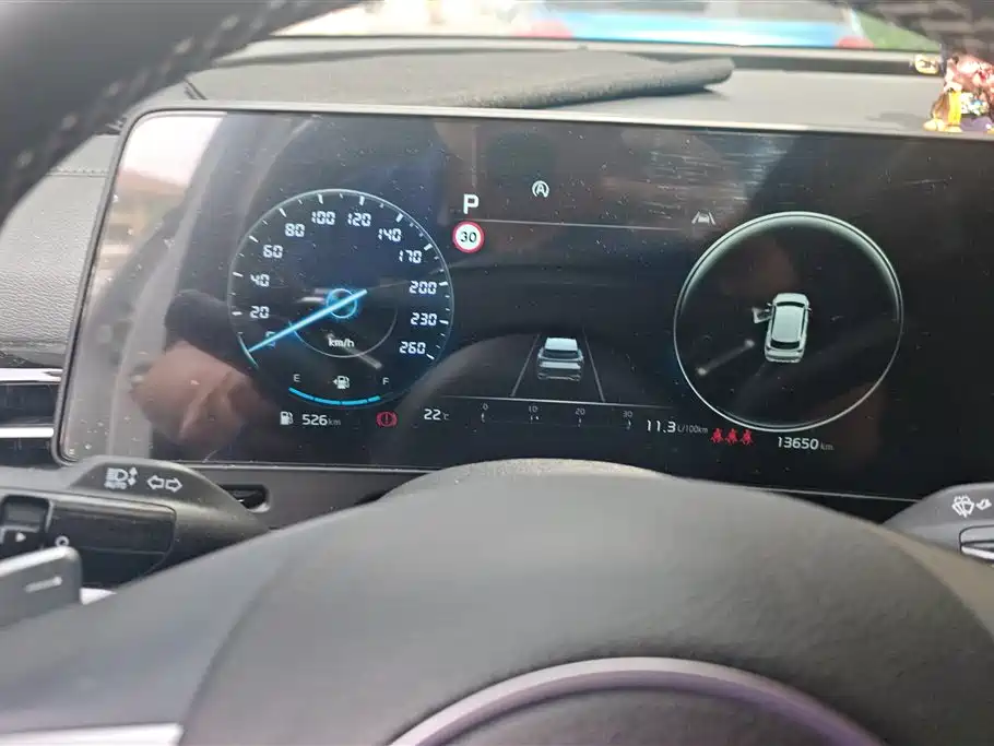 Kia Sportage 2023 2.0T 2WD Flagship Edition фото 14