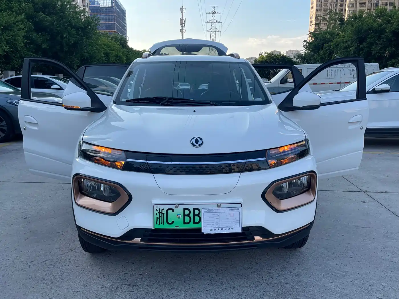 Dongfeng Yipai Dongfeng Nano EX1 2022 2022 PRO Tiger Edition Luxury