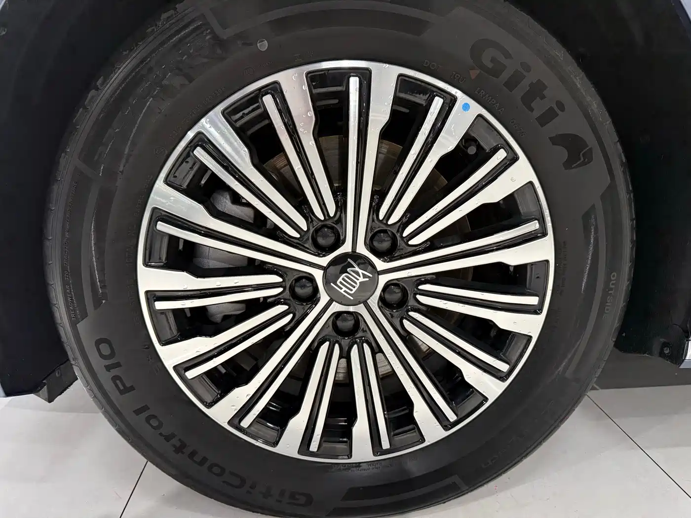 BYD Xia 2025 2025 DM-i 1.5T 100km Surpass Edition