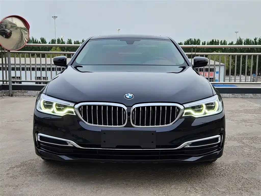 BMW 5 Series 2020 530Li Leading Luxury Package фото 23