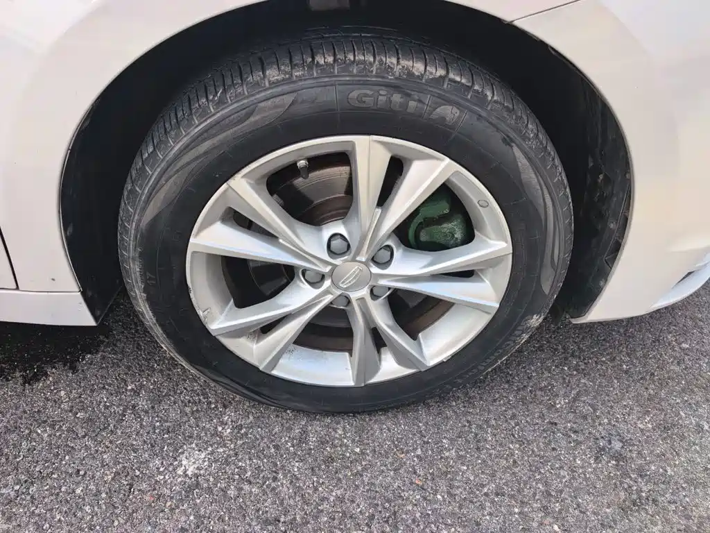Geely Borui 2020 2020 1.5T MHEV Premium Edition